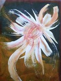 by Jenn Schweitzer