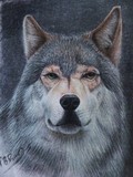 by Paul Rawnsley