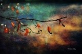 by Randi Grace Nilsberg