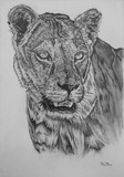 by Hiten Mistry