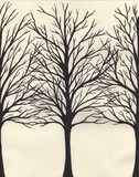 by Sarah Ruest