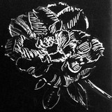 by Dana Koffenberger