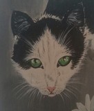 by Dawn Moir-Harris