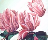 by Bridget Hyler