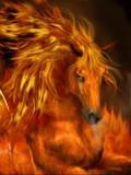 by Denise Catino