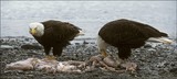 by Harry Eggens