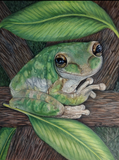 by Lori Beaumier