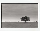 by Dave Waldner