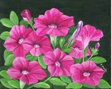 by Kathleen Brake
