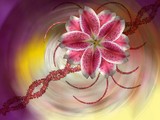 by Garabed Gligoriu
