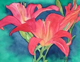 by Nancy Woolweber