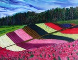 by Nira Dabush