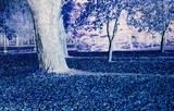 by mihail uss