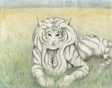 by Melinda Hundley