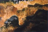 by naama kimhi