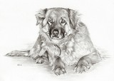 by Michelle Horvath