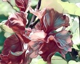by Ginger Olansen