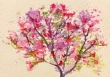 by Belinda Balaski
