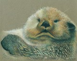 by Tammy Kuenzli