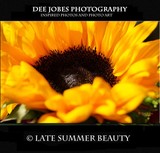 by DEE JOBES PHOTOGRAPHY