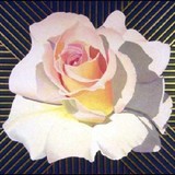 by Barbara Johnson