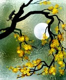 by cervantes wu