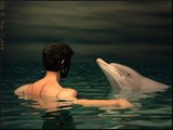 by Lisa Weber