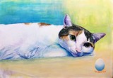 by Tomohiro Mae