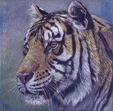 by Svetlana Ledneva-Schukina