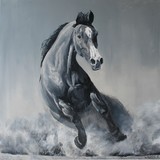 by Willem Arendsz