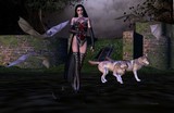 by Ben Vienerius