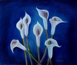 by Judith  webb