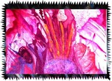 by Linda Shelton
