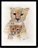 by Rebecca Lee