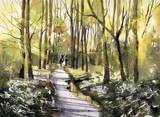 by susan shaw