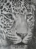 by Barbara Keith