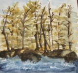 by merle ann johnson