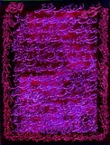by Shahram  S. Nahavandi