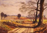 by robert minchin