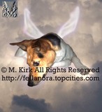 by M. Kirk