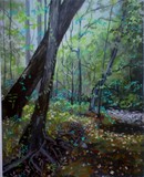 by darrell parrott