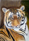 by Lorinda Case