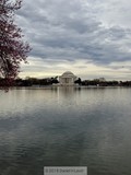 by Daniel H. Levin