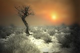by mark ross