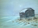 by Wayne Nordine