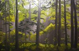 by Scott Mackay