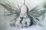 by Noel Bebee