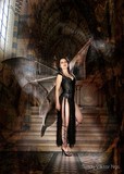 by HYBRYDS  