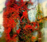 by metin topa