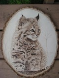 by brenda gossel
